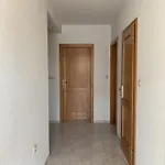 Apartments Vir Daire